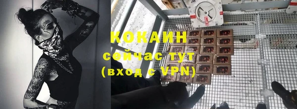 соль ск Арсеньев